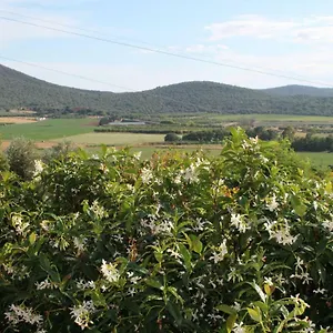 Podere Montenero Appartamento